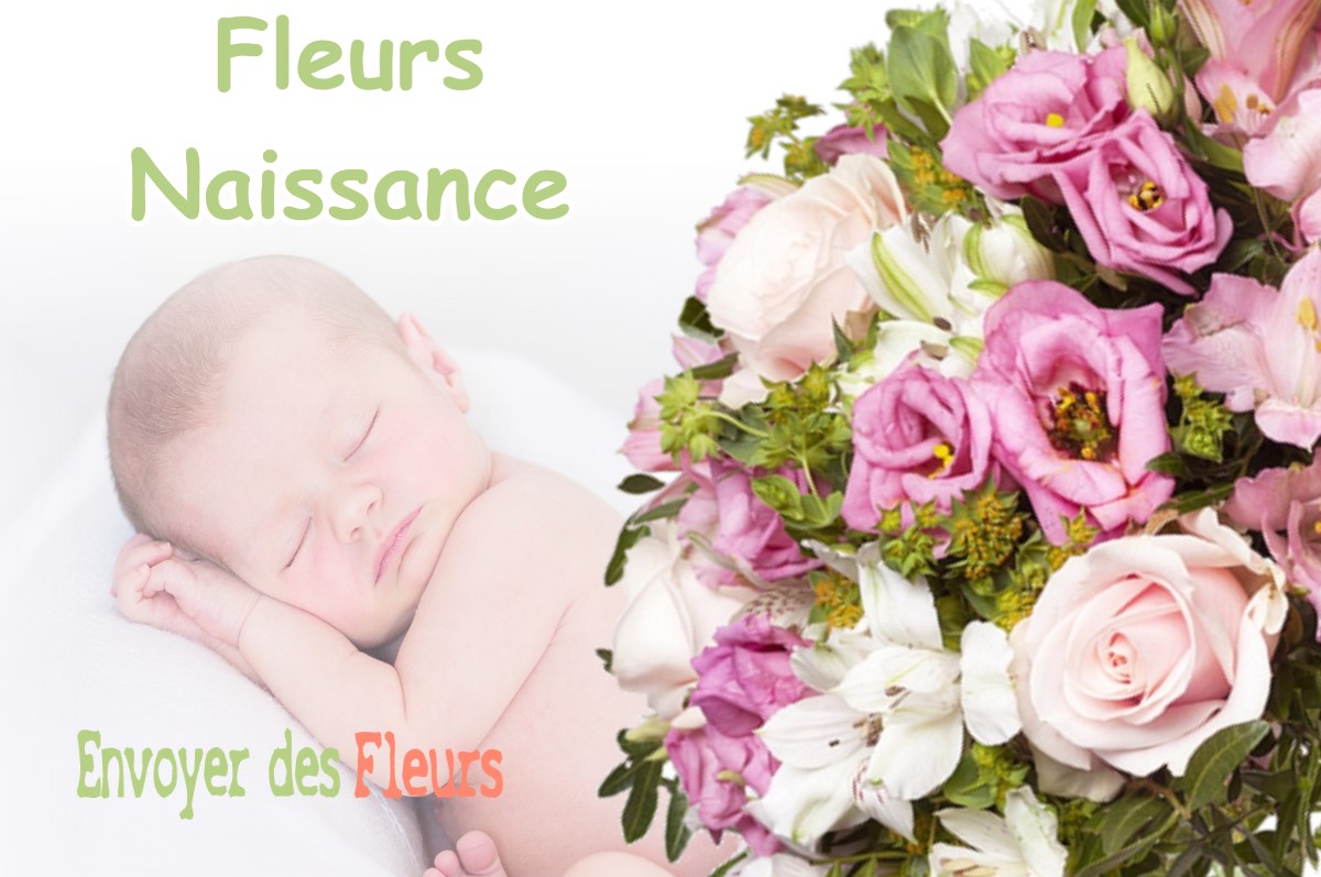 lIVRAISON FLEURS NAISSANCE à SAINT-DIDIER-DE-LA-TOUR